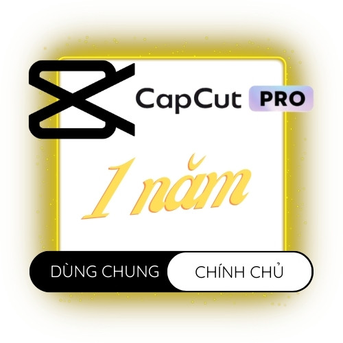 CapCut Pro